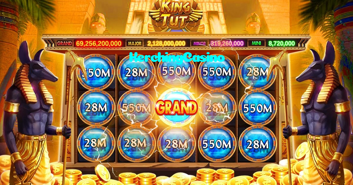 available types of KerchingCasino bet including pre-match live express and system bets